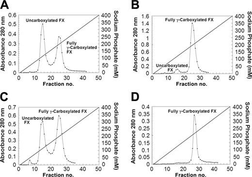 Figure 2. Separation of γ-carboxylated and uncarboxylated FX by hydroxyapatite chromatography. Separation of the γ-carboxylated and uncarboxylated factor X is as described in “Materials and methods” and as previously described.14 Cell line abbreviations are as defined in Figure 1. In each panel the first peak represents the uncarboxylated factor X and the second peak is fully γ-carboxylated factor X. (A) HEK293-FX (A6). (B) HEK293-FX (A6)–VKOR. (C) HEK293-FX (A6)–GGCX. (D) HEK293-FX (A6)–VKOR-GGCX. Diagonal lines indicate sodium phosphate concentration gradient of elution.