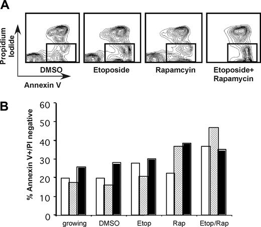 Figure 5. Rapamycin enhances apoptosis in primary AML cells. Primary patient samples were thawed and incubated as for Figure 3. Cells were harvested, pelleted, and incubated with anti-annexin V-FITC and PI. Single-cell suspensions were analyzed by FACScan (Becton Dickinson). Early apoptotic cells were scored as annexin V positive, PI negative to exclude necrotic cells. (A) FACS data from a representative sample. (B) Graph of percentage early apoptotic cells for 3 different patient samples indicated by white, hatched, or black bars.