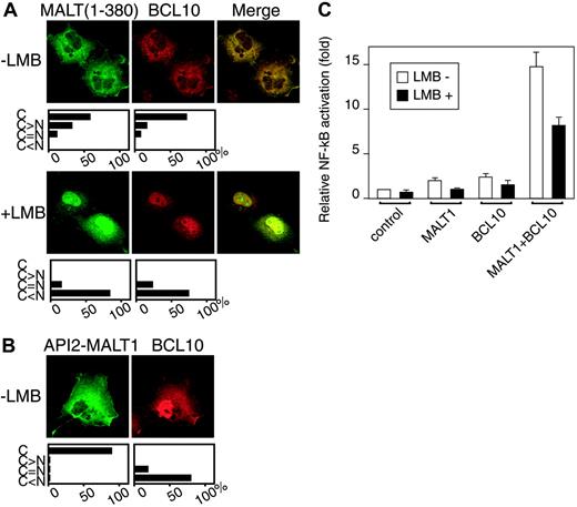 Figure 5. Subcellular localization of BCL10 cotransfected with MALT1(1-380) and API2-MALT1. COS7 cells (2 × 104) were transfected with the following expression vectors: (A) myc-BCL10 and flag-MALT1(1-380), a mixture of 0.02 μg pcDNA3-myc-BCL10 and 0.18 μg pcDNA3-flag-MALT1(1-380) with or without 4 ng/mL LMB; (B) myc-BCL10 and flag-API2-MALT1, a mixture of 0.02 μg pcDNA3-myc-BCL10 and 0.18 μg pcDNA3-flag-API2-MALT1 without 4 ng/mL LMB. For each experiment, the cells were processed as described in Figure 2 before fixation. For the first antibodies, mouse anti-flag antibody and rabbit anti-human BCL10 antibody were used, and for the second antibodies, fluorescein goat anti-mouse IgG and Alexa Fluor 546 goat anti-rabbit IgG. Below the immunofluorescence images, the relative proportions of cells with specific subcellular localization patterns are shown. C indicates cytoplasm only; C > N, predominantly cytoplasm; C = N, evenly distributed between cytoplasm and nuclei; C < N, predominantly nuclei. (C) COS7 cells (1 × 105) were transfected with NF-κB-dependent luciferase reporter vector, an internal control vector (phRL SV40), and the following expression vectors: for control, pcDNA3-myc; for MALT1, pcDNA3-MALT1-flag; for BCL10, pcDNA3-myc-BCL10; for MALT1 + BCL10, pcDNA3-MALT1-flag and pcDNA3-myc-BCL10. Treatment with 4 ng/mL LMB was performed 18 hours after transfection, and luciferase activity was measured using the method of the Dual-Luciferase Reporter Assay System (Promega) 24 hours after transfection. The figure shows the results of representative experiments performed in triplicate. Error bars indicate standard deviation