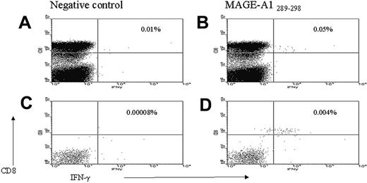 Figure 1. Enumeration of frequency of CD8+ T cells responding to CGAg peptides by FACS analysis. PBMCs were stimulated with CGAg peptides for 3 to 6 hours prior to labeling with antibodies to PE-labeled anti-IFN-γ monoclonal antibody and anti-PE magnetic beads. Enrichment of IFN-γ-secreting cells was performed by magnetic separation. PBMCs stimulated with DMSO alone prior to (A) and following (C) magnetic selection. IFN-γ production in response to MAGE-A1-289-298 peptide prior to (B) and following (D) magnetic selection. The illustrated value refers to the percentage of CD8+ T cells responding to either DMSO alone (A,C) or MAGE-A1-289-298 peptide (B,D). The CGAg-specific T-cell response in the positively selected fraction was calculated as a percentage of the total CD8+ T-cell pool (see “Materials and methods”). In this example 4.5 × 106 PBMCs were stimulated with peptide of which flow cytometric analysis revealed 24% to be CD3+CD8+. From these 1 080 000 CD8+ T cells, 47 cells were isolated in the positively selected fraction, indicating that the percentage of the CGAg-specific T-cell response in PBMCs was at least 0.004% (47/1 080 000 × 100) of the CD8+ T-cell pool.