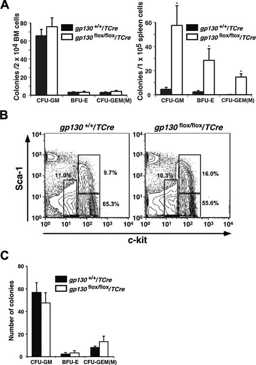 Figure 4. gp130flox/flox/TCre bone marrow retains progenitor cells. (A) Quantification of the indicated myeloerythroid colonies that developed from bone marrow or spleen cells suspended in methylcellulose. Data represent the mean ± SD of triplicate determinations and are representative of 3 independent experiments. *P < .001 compared with gp130+/+/TCre. (B) To determine the relative proportions of hematopoietic stem/progenitor cells, Lin- bone marrow cells were stained with PE–anti-Sca-1 and APC–anti-c-kit and then were analyzed by flow cytometry. The c-kitHiSca-1+, c-kitHiSca-1-, and c-kitLoSca-1-/Lo populations are gated with open boxes. The percentage of cells in each population is shown. (C) Quantification of the indicated myeloerythroid colonies that developed from 200 sorted Lin-c-kitHiSca-1+ cells suspended in methylcellulose. Data represent the mean ± SD of triplicate determinations from cells pooled from 5 mice per genotype and are representative of 2 independent experiments.