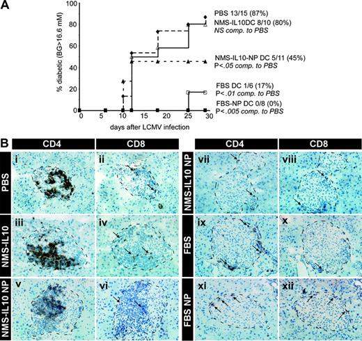 Figure 7. Diabetes development in RIP-LCMV mice after DC treatment and LCMV infection. RIP-LCMV mice were injected intraperitoneally with 106 of the indicated DC subset on days -10 and -3, followed by LCMV infection (105 pfu) on day 0. (A) Diabetes development was followed by measuring blood glucose. (B) Pancreatic sections were stained for CD4 and CD8. Images are representative of 3 to 6 individual animals in each group. The data shown are pooled from 2 independent experiments.