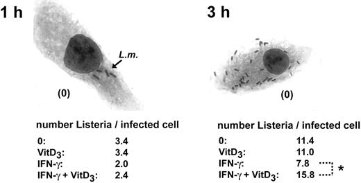 Figure 2. 1α,25(OH)2D3 inhibits the antilisterial activity in IFN-γ–activated macrophages, single-cell analysis. BMDMs were cultured in the presence or absence of IFN-γ and 1α,25(OH)2D3 and infected with L monocytogenes (MOI = 0.1) for 1 hour and 3 hours. Cells were stained using Hemacolor and analyzed microscopically and the number of intracellular bacteria per infected cell was quantified by counting (original magnification × 400). Data are presented as the mean calculated from 50 cells analyzed per condition. *P < .05; Mann-Whitney U test. The data are representative of 3 independent experiments.