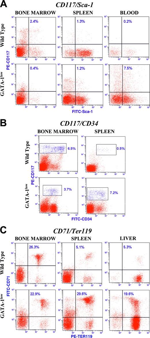 Figure 6. Dot plot analysis for the expression of the CD117/Sca-1, CD117/CD34, and CD71/Ter119 antigens in cells from marrow, spleen, blood, and liver from 16- to 20-month-old Gata1low mutants and normal littermates of CD1 background, as indicated. The number in each quadrant indicates the frequency of the cells in that gate. Similar results were obtained in at least 3 mice for each strain, and mean (± SD) of results obtained in different mice is presented in Table 4.