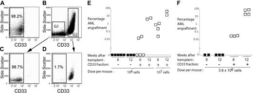 Figure 3. CD33 sorting strategy for AML and engraftment time course of sorted fractions. AML MNCs were stained with anti-CD33 antibody and sorted into CD33- and CD33+ fractions. (A) AML cells stained with isotype control. (B) AML cells stained with anti-CD33 antibody and sort gates G1 and G2. Purity of the sorted CD33- (C) and CD33+ (D) fractions of AML. Engraftment of CD33+ and CD33- fractions of AML samples no. 1 (E) and no. 9 (F) at 6 and 12 weeks. Filled squares represent mice given CD33- cells. Open squares represent mice given CD33+ cells.