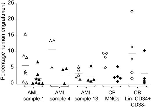 Figure 4. Effect of anti-CD33 antibody on engraftment of AML and cord blood cells. Anti-CD33 antibody (or isotype control) was incubated with either AML or cord blood cells prior to injection into NOD/SCID (AML samples no. 1 and no. 13 and cord blood MNCs) or NOD/SCID-β2m-/- (sample no. 4 and cord blood Lin-CD34+CD38- cells) mice. Each symbol represents one mouse. Open symbols represent mice given injections of cells incubated with isotype control. Filled symbols represent mice given cells incubated with anti-CD33 antibody. Triangles represent mice given injections with AML and diamonds represent mice given injections with cord blood. Horizontal bars represent mean percentage engraftment.