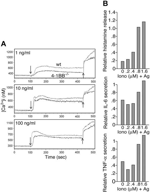 Figure 5. Defective Ca2+ flux in FcϵRI-stimulated 4-1BB-/- mast cells. (A) Wt and 4-1BB-/- BMMCs that had been sensitized overnight with IgE were loaded with Indo-1 am. Continuous monitoring of the fluorescence ratio (525:405 nm) was performed on washed cells using a flow cytometer. Baseline fluorescence ratios were collected for 100 seconds before different concentrations of DNP23-HSA was added (indicated by ↓). Ionomycin was added to all samples after 300 seconds of observation of calcium mobilization by IgE + Ag stimulation (indicated by ↑). Results shown are representative of 3 experiments. (B) Wt and 4-1BB-/- BMMCs that had been sensitized overnight with IgE were stimulated by the indicated concentrations of ionomycin alone or ionomycin and DNP23-HSA for 45 minutes (histamine release) or 8 hours (cytokine production). Ratios of histamine release and cytokine production in 4-1BB-/- versus wt BMMCs are plotted as function of ionomycin concentrations. Results shown are representative of 2 experiments.