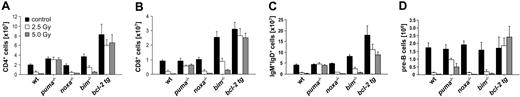 Figure 3. Puma mediates γ-radiation–induced apoptosis of mature T and B lymphocytes and B-cell precursors in vivo. Animals of the indicated genotypes were left untreated or exposed to the indicated doses of whole-body γ-radiation and killed 20 hours thereafter. Spleen and bone marrow were harvested, and the single-cell suspensions were counted and stained with fluorescence-conjugated antibodies specific for CD4 and CD8 to identify mature T cells or IgM and IgD to identify mature B cells using a flow cytometer. Bone marrow suspensions were stained using antibodies recognizing B220, IgM, and CD43 in order to identify pre-B-cell precursors. The total cellularity of CD4+ T cells, CD8+ T cells, IgM+D+ B cells in spleen (A-C), and B220+sIgM+CD43- pre-B cells found in the bone marrow of both femora (D) is depicted. Bars represent means ± SE of 4 to 10 animals of each genotype and treatment regimen used in at least 4 independent experiments. Statistically significant differences are as follows: (A) CD4+ T cells: wt versus Puma-/- (P < .001), wt versus Bim-/- (P < .012), wt versus vav-BCL2 (P < .001); (B) CD8+ T cells: wt versus Puma-/- (P < .007), wt versus Bim-/- (P < .013), wt versus vav-BCL2 (P < .002); (C) IgM+D+ B cells: wt versus Puma-/- (P < .001), wt versus Bim-/- (P < .029), wt versus vav-BCL2 (P < .001); (D) B220+sIgM-CD43- pre B cells: wt versus Puma-/- (P < .001), wt versus vav-BCL2 (P < .002).