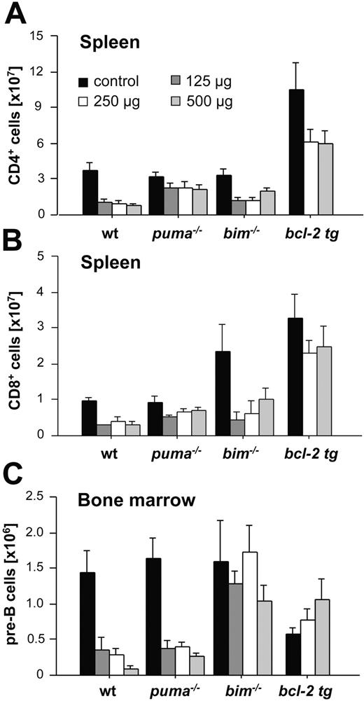 Figure 6. Cell type–specific contributions of Puma and Bim to glucocorticoid-induced apoptosis of immature and mature lymphocytes in vivo. Animals of the indicated genotypes were injected intraperitoneally with graded doses of dexamethasone and killed 20 hours later. Spleens and bone marrow were harvested, and single-cell suspensions were counted and stained with various fluorescence-conjugated cell surface marker–specific antibodies and analyzed in a flow cytometer. Total numbers of mature CD4+ T cells (A) and CD8+ T cells (B) from spleens of saline or dexamethasone-injected animals. (C) Total cellularity of B220+sIgM-CD43- pre-B cells in both femora of untreated or dexamethasone-treated animals. Bars represent means ± SE of 3 to 6 animals of each genotype and treatment regimen used from at least 3 independent experiments. Statistically significant differences are as follows: (A) CD4+ T cells: wt versus Puma-/- (P < .049); wt versus vav-BCL2 (P < .008); (B) CD8+ T cells: wt versus Puma-/- (P < .035), wt versus vav-BCL2 (P < .007); (C) B220+IgM-CD43- pre B cells: wt versus Bim-/- (P < .022).
