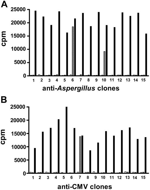 Figure 1. Aspergillus- and CMV-specific T-cell repertoires and cross-reactivity with alloantigens. T-cell clones specific for Aspergillus (A) or CMV (B) antigens were obtained from haploidentical transplant donors and tested for reactivity against transplant recipient PBMCs. Those displaying alloreactivity against recipient PBMCs were discarded, and the nonalloreactive were infused after transplantation. ⦾ indicates reactivity against recipient PBMCs; □, reactivity against autologous donor PBMCs; and ▪, response to Aspergillus (A) or CMV (B). Results are expressed as cpm of H3 thymidine incorporation. The figure shows representative sets of clones.