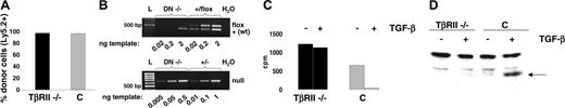 Figure 1. Verification of the TβRII-/- knock out in thymocytes from recipients of TβRII-/- bone marrow at 3 weeks after transplantation. (A) Reconstitution of thymocytes as determined by flow cytometry and staining with anti-Ly5.2 antibodies against cells of donor origin. The diagram shows mean values of reconstitution (% of Ly5.2+ thymocytes, n = 8). C = TβRII+/- controls (n = 8). (B) SQ-PCR analysis of TβRII-/- CD4-CD8- double-negative (DN-/-) thymocytes from bone marrow recipients at 3 weeks after transplantation, to determine Cre/lox recombination efficiency. The top panel shows the absence of the flox allele among DN-/- thymocytes, whereas the bottom panel shows the presence of the null (-) allele. PCR products were generated from 3 dilutions of each DNA template. The PCR reactions are specific for the flox and wild-type (+) alleles (top panel) and the null allele (bottom panel). Both PCRs were run on the same DN-/- DNA preparation. Band intensities among the dilutions of control DNA (+/flox and +/-) indicate that the amount of template chosen is proportional to the amount of PCR product. The wild-type band seen in the DN-/- 2-ng lane of the flox/wild-type PCR is derived from a minor fraction of contaminating wild-type (wt) cells surviving irradiation (< 3% as seen in A). The 2-fold amount of control DNA in the PCR to detect the null allele was used to compensate for heterozygosity. L = 100-bp ladder. (C) Test of antiproliferative response of TβRII-/- or control (C = TβRIIflox/flox) thymocytes to TGFβ1, in the presence of 3H-thymidine. Proliferation is measured by incorporation of 3H-thymidine, which is monitored as radioactive decay (cpm). (D) Western blot analysis to detect the presence of phospho-Smad2 (indicated by the arrow) in thymocytes following stimulation with TGFβ1, indicated by +.C = control thymocytes (TβRIIflox/flox). Trace amounts of phospho-Smad2 in TβRII-/- thymocytes are most likely due to the contamination with approximately 5% wild-type cells.