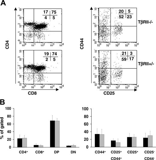Figure 2. Flow cytometric analysis of thymocytes from recipients of TβRII-/- or TβRII+/- bone marrow cells at 3 weeks after transplantation. (A) Left panels show thymocytes stained to detect the cell surface antigens CD4 and CD8. Right panels show staining for CD25+ and CD44+ cells among the CD4-CD8- double-negative (DN) fraction. All cells were in addition stained and gated for the marker of donor cells, Ly5.2. The percentage of cells occupying each quadrant is indicated. (B) Mean percentage values of the subpopulations described in panel A. (▪) TβRII-/- (n = 8); (▦)TβRII+/- controls (n = 6). Results are expressed as mean ± SDs.