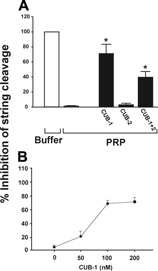 Figure 1. Recombinant CUB-1 polypeptide inhibits UVLWF cleavage under flow conditions. (A) Recombinant CUB polypeptides (100 nM) were incubated with PRP for 10 minutes and then perfused over histamine-stimulated HUVECs at 2.5 dyn/cm2 of shear stress. ULVWF strings formed when buffer was perfused (0% activity), but were cleaved when PRP was perfused (100% activity). The ULVWF strings were detected in PRP that was pretreated with CUB-1 or CUB-1+2, but not when pretreated with CUB-2. (B) The inhibition of ULVWF cleavage by CUB-1 polypeptide was dose-dependent with maximal inhibition at 100 nM. The data are mean ± SEM (Student t test, *P < .01 compared with untreated samples).