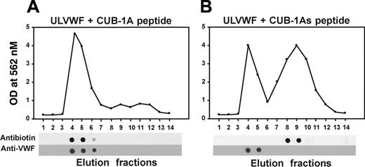 Figure 5. The CUB-1A peptide coelutes with ULVWF from a gel filtration column. Biotinylated CUB-1A peptide and CUB-1As were incubated with UVLWF for 15 minutes and then allowed to pass through a gel filtration column at a flow rate of 1 mL/min. The eluate was collected in 14 fractions of 1 mL each and probed for the peptide with a polyclonal antibiotin antibody and for ULVWF with a monoclonal VWF antibody. The CUB-1A peptide coeluted with ULVWF (A), whereas the CUB-1As peptide did not (B). The figure is representative of 3 separate experiments.