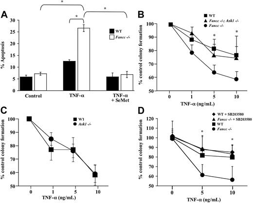 Figure 3. TNF-α hypersensitivity of Fancc-/- hematopoietic progenitors is dependent on Ask1 and p38. (A) TNF-α-induced apoptosis in c-kit+ cells. WT and Fancc-/- c-kit+ cells were pretreated with SeMet or were cultured in normal conditions before 24-hour exposure to 10 ng/mL TNF-α. Cytospins of cells from each experimental group were made before apoptosis was analyzed using a TUNEL assay (n = 3; *P ≤ .006). (B) TNF-α sensitivity of hematopoietic progenitors. WT, Fancc-/-, and Fancc-/-; Ask1-/- low-density BM cells were cultured in colony assays with increasing concentrations of TNF-α (n = 4 mice/genotype; *P ≤ .05). (C) TNF-α sensitivity of hematopoietic progenitors. WT and Ask1-/- low-density BM cells were cultured in colony assays with increasing concentrations of TNF-α (n = 5 mice/genotype). (D) p38 inhibitor and progenitor assays. WT and Fancc-/- low-density BM cells were cultured in colony assays with SB203580 or vehicle control and increasing concentrations of TNF-α (n = 6 mice/genotype; *P ≤ .001). All data points shown represent the mean of multiple experiments, and error bars represent SD.