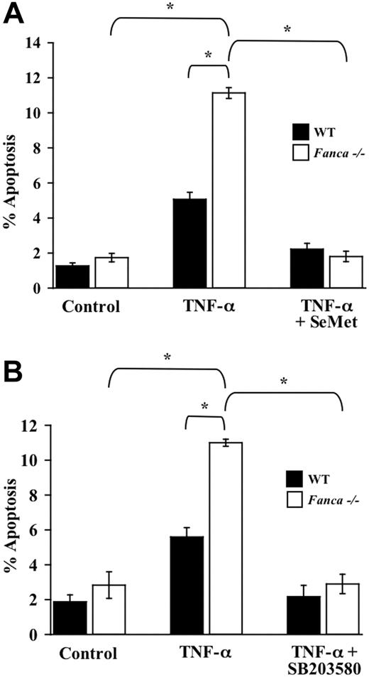 Figure 4. Enhanced TNF-α-mediated apoptosis of Fanca-/- c-kit+ cells is blocked by antioxidants and p38 inhibition. (A) Antioxidant and TNF-α-induced apoptosis of c-kit+ cells. WT and Fanca-/- c-kit+ cells were pretreated with SeMet or were cultured in normal conditions before 24-hour exposure to 10 ng/mL TNF-α. Cytospins of cells from each experimental group were made before apoptosis was analyzed using a TUNEL assay (n = 3; *P ≤ .001). (B) p38 inhibitor and TNF-α-induced apoptosis of c-kit+ cells. WT and Fanca-/- c-kit+ cells were pretreated with SB203580 or were cultured in normal conditions before 24-hour treatment with 10 ng/mL TNF-α. Apoptosis was analyzed as described (n = 3; *P ≤ .003). Data shown represent the mean of multiple experiments, and error bars represent the SD.