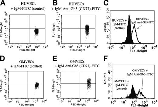 Figure 1. Gb3 expression on HUVECs and GMVECs by flow cytometry. Labeling HUVECs (A) and GMVECs (D) with an isotype-matched irrelevant antibody (mouse IgM-FITC) determined the background FITC (FL1) fluorescence and is indicated by the horizontal line. HUVECs (B) and GMVECs (E) labeled with mouse IgM anti-Gb3 (CD77)-FITC expressing higher FITC fluorescence than background were considered positive. Burkitt lymphoma cells were used as positive controls (data not shown). The x-axis indicates increasing cell size and the y-axis indicates increasing FITC fluorescence. Overlay histograms of HUVECs (C) and GMVECs (F) show the background FITC fluorescence (cells labeled with irrelevant mouse IgM-FITC; first peak) and the increased FITC fluorescence due to Gb3 expression when cells were labeled with mouse IgM anti-Gb3 (CD77)-FITC (second peak). The x-axis indicates increasing FITC fluorescence and the y-axis indicates the events counted.
