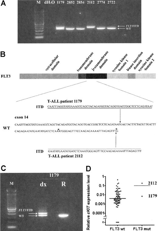Figure 1. Activating FLT3 mutations in pediatric T-ALL. (A) Genomic PCR analysis for the FLT3 gene. PCR results for 6 pediatric T-ALL patient samples are shown. T-ALL patient 1179 shows a heterozygous FLT3/ITD mutation. No wild-type FLT3 is detected in T-ALL patient 2112, probably due to loss of heterozygosity of the wild-type allele. (B) Overview of the functional domains in the FLT3 tyrosine kinase receptor. Genomic position of the FLT3/ITD mutations detected in patients 1179 and 2112 are shown. Mutation position annotation is based on the FLT3 reference sequence NM_004119. (C) FLT3 mutation analysis of diagnosis and relapse material of T-ALL patient 1179. The FLT3/ITD mutation was present at diagnosis but absent at relapse. (D) Relative cKIT/CD117 mRNA expression indicated as percentage of GAPDH expression for the investigated pediatric T-ALL cohort (FLT3 wt vs FLT3 mut). For both groups the median FLT3 mRNA expression is shown. wt indicates wild type; mut, mutated; dx, at diagnosis; R, at relapse; and *, genomic position of the recently identified FLT3/ITD mutations in adult T-ALLs.2