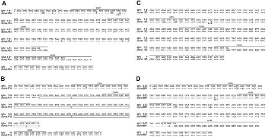 Figure 4. Sequence analysis of clonal LCLs derived from EBV-infected BCR- B cells. The sequences of 4 single-cell LCL clones are shown, which carry a crippled heavy chain allele and fail to express a functional BCR. A detailed comparison of VDJH gene regions of the 4 sequenced clones (bottom lines) to the most homologous germ line genes (top lines) is shown. Sequence identity is indicated by dashes, and nucleotide exchanges introduced by somatic hypermutation are indicated. Uppercase characters denote replacement mutations, and lowercase characters describe silent mutations. (A) In clone A54 an in-frame stop codon (marked with asterisks) in CDR1 (solid lines) abrogates HC expression. (B) In clone A16 only the variable and the joining segment could be determined, since this rearranged heavy chain allele suffers from a massive internal deletion, which is indicated by boxes. The deletion also causes a frame shift mutation such that the C segments are out of phase. The clones B5 (C) and B11 (D) are crippled due to in-frame stop codons (asterisks). The forward and backward primer binding sites (dotted lines) contain wobbled bases: M (adenosine or a cytidine), and Y (cytidine or a thymidine).