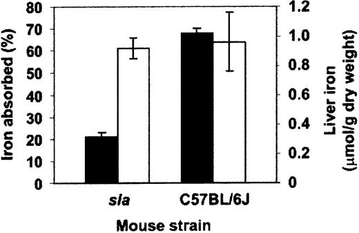 Figure 1. Intestinal iron absorption and liver iron content in sla and C57BL/6J mice on an iron-deficient diet. Animals were maintained on an iron-deficient diet for 6 weeks from weaning, and iron absorption was determined by whole-body counting following the oral administration of radioactive iron as previously described.5 Absorption (▪) is presented as the percentage of the initial iron dose retained by the animals 5 days after dosing. Hepatic iron measurements (□) were performed on liver tissue as previously described.6 Data represent the mean ± SEM of 3 animals. Statistical differences were assessed using Student t test. P = .001 for iron absorption. P = .86 for liver iron content.