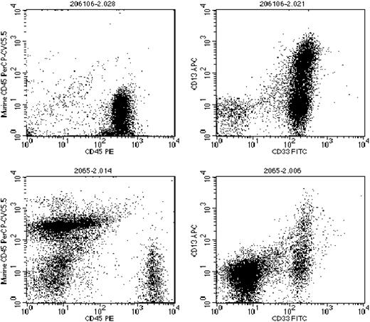 Figure 2. Human leukemia engraftment of NOD-SCID mice. Sublethally irradiated mice were injected with 1 × 106 unsorted cells (top row) or 5 × 103 CD34+/CD38--sorted cells (bottom row) from leukemia sample 1 (Tables 1 and 2). After 14 weeks, mice were killed and the bone marrow cells were analyzed for expression of human and murine CD45 (left), and human CD13 and CD33 (right). Total marrow is shown, with no gates applied.