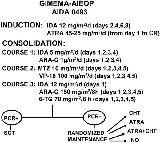 Figure 1. GIMEMA-AIEOP protocol: treatment schedule. CHT indicates chemotherapy; NO, no further treatment.