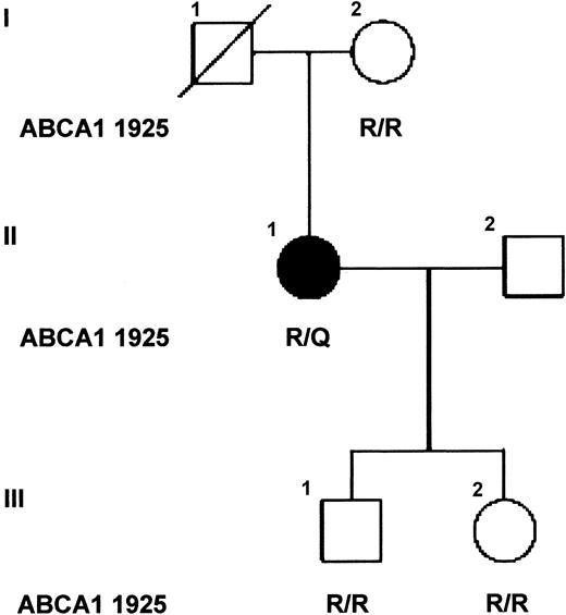 Figure 2. Family pedigree. The affected individual is indicated by the solid symbol and unaffected relatives by open symbols. The amino acids at codon 1925 of ABCA1 are shown for each individual tested (R/R, homozygote; R/Q heterozygote). Individual I.1 died following a myocardial infarct and previously had undergone amputation of his right arm following an accident without excessive bleeding, and thus is likely to be unaffected.