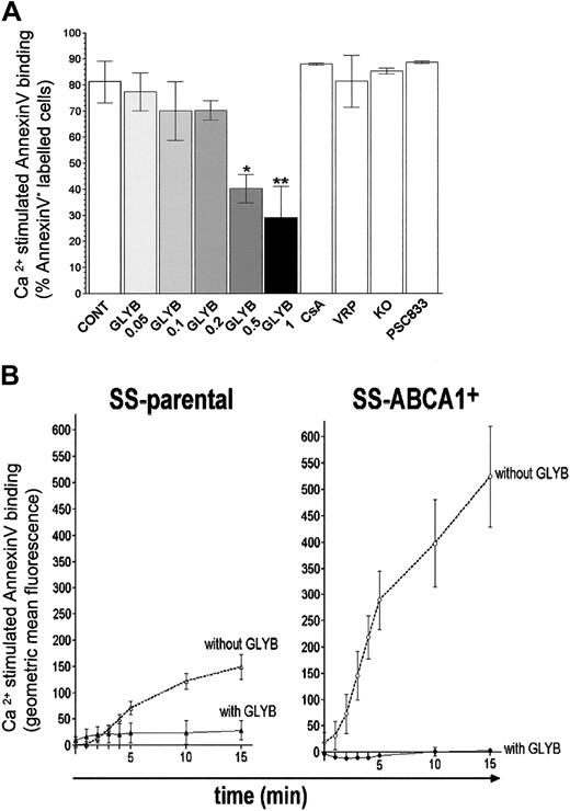Figure 6. Glyburide inhibits Ca2+-stimulated PS exposure in B lymphocytes. (A) Control wild-type EBV-transformed B cells were preincubated with the vehicle DMSO (CONT), or DMSO containing 0.05, 0.1, 0.2, 0.5, 1 mM glyburide (GLYB), 10 μM cyclosporine A (CsA), 30 μM verapamil (VRP), 1 μM KO143, or 1 μM PSC833 for 10 minutes. Ca2+-activated PS exposure was measured after 10 minutes stimulation by A23187. Each data point represents the mean value of at least 3 independent experiments. **P < .005; *P < .01. (B) Glyburide inhibits Ca2+-activated PS exposure by SS cells transduced with ABCA1. Ca2+-stimulated PS translocation was analyzed by an annexin V binding assay. Cells were preincubated either with 1 mM glyburide or with DMSO only before addition of A23 187 at t0, and changes in annexin V binding over time were recorded. Ca2+-stimulated annexin V binding was calculated by subtracting the values measured in the presence of DMSO from the values detected in the presence of ionophore A23187 and is expressed as an increase in fluorescence (geometric mean of annexin V binding) by cells in the PI– cell population. Each data point represents the mean value of at least 3 independent experiments; error bars represent SD. SS-parental indicates EBV-transformed B lymphocytes from the SS patient; SS-ABCA1+ indicates SS-parental cells transduced with ABCA1.