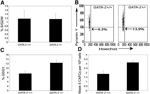 Figure 4. Altered proportion of quiescent primitive cells in GATA-2+/– bone marrow. Bone marrow cells were stained with stem-cell markers (Sca-1 and c-kit) and lineage antibodies to separate stem-cells. Simultaneous staining with the DNA dye Hoechst 33 342 (Hst) was used to determine the percentage of S/G2/M in the Lin– c-kit+Sca-1+ compartment. Data from multiple experiments are summarized in panel A (P = .931; n = 6). To determine the fraction of G0 cells in the stem-cell compartment, the RNA dye Pyronin Y (PY) and Hst were used to stain Lin–c-kit+Sca-1+ cells and flow cytometry performed to determine the percentage of G0 (PYlo) in the G0/G1 fraction (Hstlow). Representative flow cytometry plots are shown (B) and data from multiple experiments are summarized in panel C (P = .004; n = 7). To functionally corroborate altered quiescence from GATA-2+/– animals, mice from GATA-2+/– and GATA-2+/+ groups were treated with 5-FU in vivo. One day after a single intraperitoneal injection of 5-FU at a dose of 150 mg/kg, nucleated cells were obtained and plated in limiting dilution long-term culture and CAFCs were scored at week 5 (D) (P = .048; n = 5). Error bars depict the standard error of the mean. All statistical analyses were performed using the Student t test.