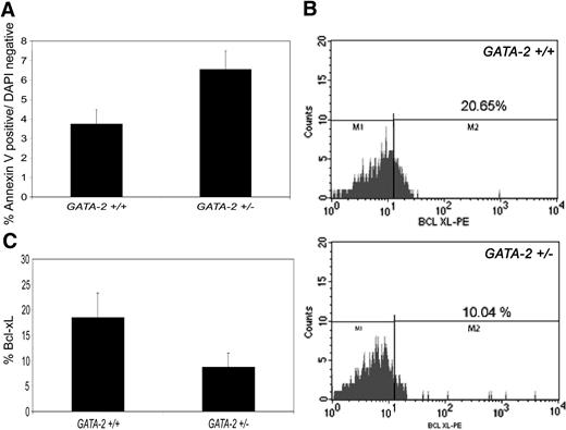 Figure 5. Freshly isolated primitive cells from GATA-2+/– bone marrow have an increased susceptibility for apoptosis. Bone marrow nucleated cells were stained with annexin-V, DNA dye DAPI, Sca-1, c-kit, and lineage antibodies, and Sca1+ckit+Lin– cells were analyzed for annexin-V/DAPI activity by flow cytometry. Cells excluding DAPI and binding annexin-V were considered apoptotic (A) (P = .011; n = 6). To examine intracellular Bcl-xL expression, bone marrow nucleated cells were stained with Sca-1, c-kit, and lineage antibodies, and Bcl-xL and the Lin–c-kit+Sca-1+ population was analyzed by flow cytometry. Representative flow cytometry plots for Bcl-xL expression are depicted in panel B; the Bcl-xL–positive fraction was defined relative to the isotype control staining (data not shown). M2 represents the % of Bcl-xL–positive cells. Multiple experiments are summarized in panel C (P = .050; n = 5). Error bars depict the standard error of the mean. All statistical analyses were performed using the Student t test.