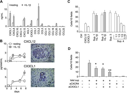 Figure 3. Human islets produce chemokines and attract BM-MSCs by secreting CXCL12 and CX3CL1. (A) Chemokines/growth factors measured in the supernatant of 100 handpicked human pancreatic islets after 48 hours of culture in the presence or absence of IL-1β (10 ng/mL). Results are expressed as mean ± SD from 3 experiments. (B, left) Release of CXCL12 and CX3CL1 from human pancreatic islet preparation cultured in the presence or absence of IL-1β (10 ng/mL) for up to 8 days. Results are the mean ± SD from 6 islet preparations. (Right) Immunohistochemical detection of CXCL12 and CX3CL1 in human pancreas sections. Anti-CXCL12 and anti-CX3CL1 antibodies stained the cytoplasm of islet cells and small duct cells. (C) Chemotaxis assay showing migration of BM-MSCs to supernatants of human islets cultured with (▦) or without (□) IL-1β (10 ng/mL). The mean ± SE of 8 replicates is shown for each of 4 islet supernatants (Sup. 1 to 4). The effect of supernatant dilution on the chemotactic activity is shown for supernatant 4. Chemotaxis is measured as the number of migrated cells counted in 10 HPFs after subtraction of the basal migration observed in the absence of chemokine. Basal migration was 10 ± 5 cells/10 HPFs. The migration to recombinant CXCL12 and CX3CL1 is shown for comparison. (D) Inhibition studies of BM-MSC migration to islet supernatant. Supernatants were preincubated with 10 μg/mL anti-CX3CL1, BM-MSCs were preincubated with 10 μg/mL anti-CXCR4, or both conditions were observed. Chemotaxis is measured as the number of migrated cells counted in 10 HPFs after subtraction of the basal migration observed in the absence of chemokine. Basal migration was 8 + 4 cells/10 HPFs. Values are the mean ± SE of 8 replicates. *P < .02 versus islet supernatant; **P < .001 versus islet supernatant.