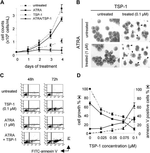 Figure 2. NB4-LR1 cell death induction by TSP-1. (A) NB4-LR1 cells untreated or treated with ATRA (1 μM) with or without TSP-1 (0.1 μM) were cultured in microwell culture plate for 4 days. Cell growth was quantified by cell counting in a Malassez hemocytometer. Results are expressed as mean ± SEM of 2 experiments. (B) Morphology of MGG-stained untreated or ATRA-treated cells after 4 days of culture in the absence or the presence of purified TSP-1 (0.1 μM) showed cells with no chromatin condensation but damaged plasma membrane when cultured with TSP-1 with or without ATRA (arrows). Cells were analyzed using an upright epifluorescence microscope (Leica DMR, Leica, Rueil-Malmaison, France) through a Plan Apo 63×/1.32 numerical aperture oil immersion objective lens (Leica), and images were captured with a color camera LEI-750D CE system and acquired using the Leica QWin V2.2 software. (C) Flow cytometry analysis of FITC-annexin V and PI-stained untreated or ATRA-treated (1 μM) NB4-LR1 cells cultured with or without TSP-1 (0.1 μM) for 3 days. Results, expressed as percent of positive cells for annexin V labeling, are as follows: at day 2: untreated 3%, TSP-1 10%, ATRA 8%, ATRA plus TSP-1 22%; and at day 3: untreated 6%, TSP-1 19%, ATRA 15%, ATRA plus TSP-1 42%. (D) NB4-LR1 cells untreated or treated with ATRA (1 μM) were cultured for 4 days with or without increasing concentrations of purified TSP-1 (0.025 to 0.1 μM). Cell growth was expressed as percent of growth compared with untreated cells (•), and cell death, as quantified by annexin V labeling (▴), was expressed as percent of positive cell detection upon flow cytometry analysis: broken line indicates untreated cells; solid line, ATRA-treated cells. Results are expressed as mean ± SEM of 3 experiments.