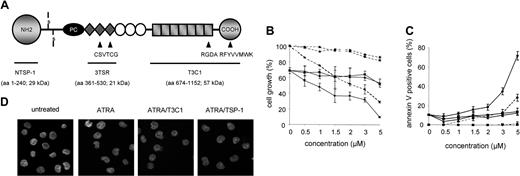 Figure 3. Induction of NB4-LR1 cell death by the C-terminal domain of TSP-1. (A) Schematic representation of TSP-1 structural and functional domains. TSP-1 is a disulfide-bonded trimeric protein composed of 3 identical subunits with a molecular mass of about 140 kDa each. Each subunit comprises multiple domains: an amino-terminal domain, a procollagen homology region (PC), 3 types of repeated sequence motifs—designated type 1 (filled diamond), type 2 (open circle), and type 3 (filled square) repeat—and a carboxy-terminal domain. The recombinant fragments used in this study are identified by their amino-terminal and carboxy-terminal amino acids (aa). VTCG, RGDA, and RFYVVMWK peptide sequences identified from TSP-1 for its respective binding to CD36, β3 integrin, and CD47 membrane receptors are indicated. (B, C) NB4-LR1 cells untreated (broken line) or treated (solid line) with ATRA (1 μM) were cultured for 4 days in the absence or the presence of increasing doses (0.5 to 5 μM) of TSP-1 recombinant fragments corresponding to the N-terminal (NTSP-1; ▴), the type 1 repeat (3TSR; ▪), or the type 3 repeat/C-terminal domain (T3C1; •) of the molecule. Cell growth of NB4-LR1 cells was expressed as percent of untreated cells growth (B), and cell death, as quantified by annexin V labeling, was expressed as percent of positive cell detection upon flow cytometry analysis (C). Results are expressed as mean ± SEM of 3 experiments. (D) Nucleus morphology of NB4-LR1 cells untreated or treated with ATRA with or without the T3C1 TSP-1 recombinant fragment (3 μM) or the entire TSP-1 (0.075 μM), as analyzed by confocal microscopy using Vectashield containing DAPI as mounting medium.