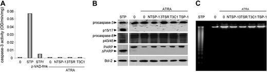 Figure 4. Caspase-independent cell death induced by TSP-1 in NB4-LR1 cells. NB4-LR1 cells untreated or treated with ATRA (1 μM) were cultured for 4 days with or without the NTSP-1, 3TSR, or T3C1 fragment (3 μM) or the entire purified TSP-1 (0.075 μM). NB4-LR1 cells were also treated with staurosporine (STP; 5 μM) for 3.5 hours. (A) Caspase-3-like activity was determined in cell extracts by means of a colorimetric assay of the DEVD-pNa substrate hydrolysis. NB4-LR1 cells treated with STP with or without the broad-spectrum caspase inhibitor z-VAD-fmk (25 μM) were used as positive control for the detection of caspase-3-like activity as measured by spectrophotometry. OD indicates optical density. (B) SDS cell lysates (about 10 μg proteins corresponding to 105 cells) prepared from NB4-LR1 cells were processed for Western blotting for analysis, under reducing conditions, of caspase-3 or caspase-8 activation, through cleavage of their precursor forms, cleavage analysis of the caspase substrate PARP, or the antiapoptotic protein Bcl-2. Polyclonal antibodies specific to caspase-3 or caspase-8 (1:500), monoclonal antibodies specific to PARP (1:200), or Bcl-2 (1:1000), respectively, were used. (C) Genomic DNA from NB4-LR1 cells (106) was extracted, as described in “Materials and methods,” and electrophoresed on 2% agarose gel and then analyzed upon ethidium bromide visualization.