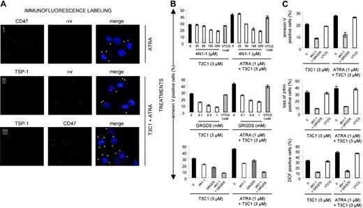 Figure 7. Involvement of CD47 and αvβ3 integrin receptors in mediating cell death induced by the C-terminal domain of TSP-1. (A) NB4-LR1 cells were treated with ATRA (1 μM) for 2 days without or with the T3C1 recombinant fragment (3 μM) and then fixed by the addition of 2% PFA. (i) Cells cultured without T3C1 were successively incubated with mouse monoclonal antibody to CD47 (20 μg/mL) and polyclonal antiserum to the αv integrin subunit (1:50). (ii, iii) ATRA-treated cells cultured with the T3C1 fragment were successively incubated with rabbit antiserum to TSP-1 (R1; 1:50) and mouse monoclonal antibody to αv or CD47 (20 μg/mL). Alexa Fluor 594-conjugated anti-rabbit IgG and Alexa Fluor 488-conjugated anti-mouse IgG were used as secondary antibodies. Vectashield containing DAPI for nucleus staining was used as mounting medium for confocal microscopy analysis. Yellow color in the merge confocal images indicates the superimposition of the 2 fluorochromes. (B, C) NB4-LR1 cells, untreated or treated with ATRA (1 μM), were incubated for 2 hours with 4N1-1 (25 to 200 μM), GRGDS (0.1 to 1 mM), 4N1-1 (100 μM), and GRGDS (100 μM) or the VTCG (1 mM) peptide control and then cultured for 4 days (B) or 2 days (C) with the T3C1 recombinant fragment (3 μM). (B) At 4 days of the treatment, cell death was quantified by annexin V labeling and expressed as percent of positive cell detection upon flow cytometry analysis. Results are expressed as mean ± SEM of 3 experiments. (C) At 2 days of the treatment, cell death induction was monitored by annexin V (top), DiOC6(3) (middle), or DCFH-DA (bottom) staining for detection of PS membrane outside exposure, mitochondrial transmembrane potential alteration, and ROS production, respectively. Results are expressed as mean ± SEM of 2 experiments.
