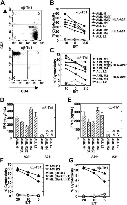 Figure 5. HLA-A24–restricted cytotoxicity of, and IFN-γ production by, TCR gene–transduced Tc1 and Th1 cells against freshly isolated leukemia cells. TCR gene–transduced CD8+ Tc1 and CD4+ Th1 cells were isolated by a FACSVantage instrument restimulated with WT1 peptide (CMTWNQMNL)–pulsed HLA-A24+ LCLs and expanded in the presence of IL-2. (A) After expansion, TCR gene–transduced Th1 and Tc1 cells were stained with FITC-labeled anti-CD4 mAb and PE-labeled anti-CD8 mAb, and the staining profile of Th1 and Tc1 cells was analyzed by a FACSCalibur instrument and Cell Quest software. Percentage of cells in each quadrant is indicated in flow cytometer plots. (B-C) Cytotoxic activity of TCR gene–transduced Tc1 (B) and Th1 cells (C) against freshly isolated leukemia cells was evaluated by 4-hour 51Cr release assay. (D-E) TCR gene–transduced Tc1 (D) and Th1 cells (E) were cocultured with leukemia cells. After 20 hours, culture supernatant was harvested, and IFN-γ levels in the supernatant were measured by ELISA. WT1 expression level of leukemia cells used in the experiments of Figure 5B-E was determined by quantitative real-time PCR to be HLA-A24+ AML M1 (3.5 × 10–1), AML M21 (2.7 × 10–1), AML M22 (8.6 × 10–2), AML M4 (8.8 × 10–1), ALL L2 (5.3 × 10–1), HLA-A24– AML M2 (1.5 × 100), AML M4 (2.5 × 10–1), and ALL L2 (5.8 × 10–1). Expression levels were expressed as relative values against K562 cells which strongly express WT1. Error bars indicate standard error (SE) in triplicate samples. (F-G) Cytotoxic activity of TCR gene–transduced Tc1 (F) and Th1 cells (G) against HLA-A24+ WT1+ freshly isolated leukemia cells and HLA-A24+ WT1– malignant lymphoma (ML) cells was evaluated by 4-hour 51Cr release assay. WT1 expression level of leukemia and lymphoma cells used in the experiments of Figure 5F-G was determined to be AML1 (1.5 × 100), AML2 (7.2 × 10–1), ML (DLBL) (7.3 × 10–5), ML (Burkitt)1 (3.5 × 10–4), and ML (Burkitt)2 (7.8 × 10–5). AML indicates acute myeloid leukemia; ALL, acute lymphoid leukemia; DLBL, diffuse large B cell lymphoma; and Burkitt, Burkitt lymphoma.