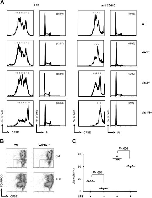 Figure 2. Requirement for Vav proteins in cell-cycle progression. (A) B cells of the indicated genotypes were stained with CFDA-SE and cultured in the presence of 1 μg/mL LPS (left) or 5 μg/mL anti-CD180 (right). The first and third panels show analyses of cells gated for lymphocytes by forward and side scatter of CFDA-SE fluorescence after 72 hours of culture; numbers of divisions are indicated. The second and fourth panels show cell-cycle analyses of PI staining after 48 hours of culture; percentage of cells in G1 and G2/S/M phases are given. CFSE indicates carboxyfluorescein diacetate succinimidyl ester. (B) B cells from WT or Vav1/2-/- mice were loaded with CFDA-SE and cultured with or without 1 μg/mL LPS. After 48 hours, cells were harvested, stained with TO-PRO-3, and analyzed by FACS. Results from a representative mouse of each genotype are displayed. The boxes indicate live cells identified as TO-PRO-3 negatives. CM indicates culture medium. (C) The graph shows the percentage of live cells from 3 WT (○) or 3 Vav1/2-/- mice (•) after culture with or without LPS for 48 hours. Statistical significance was determined using the Student t test. Error bars represent the mean of the 3 values.