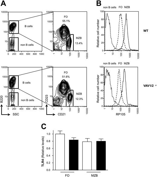 Figure 3. Expression of CD180 and TLR4 in WT and Vav1/2-/- mice. (A) Five percent probability contour plots showing CD21 and CD23 surface staining of B220+ gated splenocytes from WT and Vav1/2-/- mice. MZ B cells fall within the CD21high CD23low gate, and the percentage of MZ and FO B cells are indicated. SSC indicates side scatter. (B) Expression of CD180 on FO and MZ B cells from WT and Vav1/2-/- mice using the gating from panel A. (C) Marginal zone and follicular B cells from WT or Vav1/2-/- mice were FACS sorted according to CD21 and CD23 levels as described in panel A. Expression of TLR4 was measured by real-time PCR on cDNA from the indicated populations; WT mice (□) and Vav1/2-/- mice (▪). No significant differences were observed between the groups. Error bars indicate standard deviation.