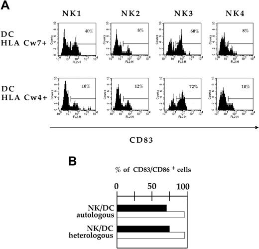 Figure 3. Role of HLA class I–specific inhibitory receptors in the regulation of NK-induced DC maturation and analysis of NK-cell–induced DC maturation in an autologous versus heterologous setting. (A) Immature DCs expressing either the HLA class I Cw7+/+ or the HLA class I Cw4+/+ phenotype were cocultured in the presence of allogeneic NK clones expressing different KIR phenotypes. After 2 days of coculture, DCs were analyzed for expression of CD83. The reported data of DC maturation were obtained in the presence of the following 4 representative NK clones: NK1 expressing the KIR2DL1+ KIR2DL2/3– NKG2A– phenotype, NK2 expressing the KIR2DL2/3+ KIR2DL1+ NKG2A– phenotype, and NK3 and NK4 characterized by the KIR-negative NKG2Adull and NKG2Abright phenotype, respectively. Horizontal bars represent markers assigned on the basis of control cells (ie, cells incubated with the second reagent alone). The percentage of CD83+ cells is indicated. (B) A polyclonal NK-cell line was cocultured in the presence of either autologous or heterologous DCs. After 2 days of coculture, DCs were analyzed for expression of CD83 and CD86. Black bars and white bars indicate the percent of CD83+ DCs and CD86+ DCs, respectively. Similar results were obtained using NK-cell lines derived from 4 additional donors.