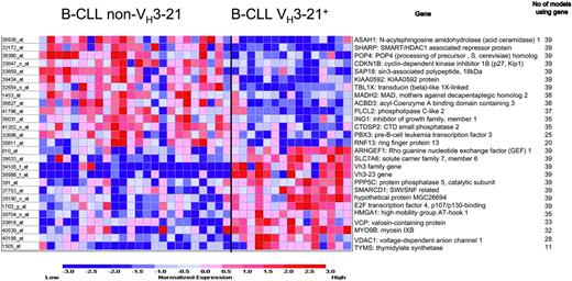 Figure 2. Genes included in the weighted voting class discriminator model. Genes expressed at higher level in non-VH3-21 samples are listed on top and those that were more abundant in VH3-21+ B-CLL are shown on bottom. The highest accuracy was obtained using 27 probes: a total of 35 (90%) of 39 of samples were correctly predicted (P < .001).