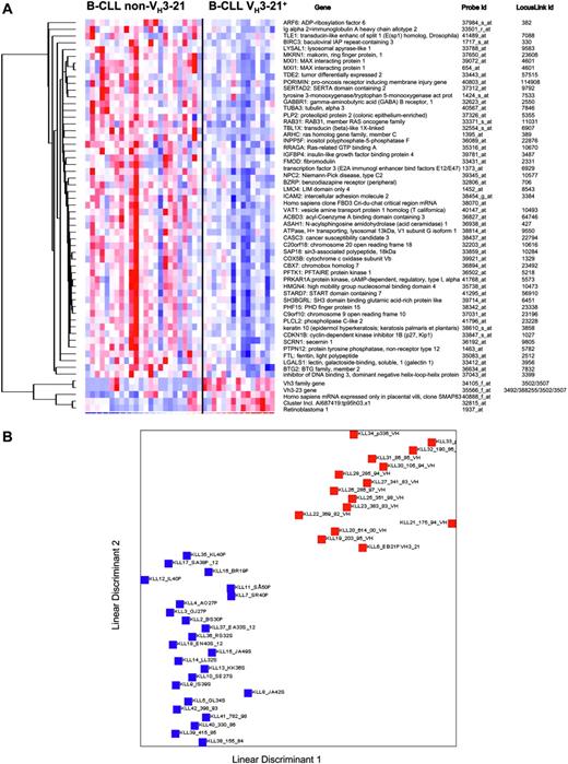 Figure 3. LDA analysis in VH3-21+ and non-VH3-21 B-CLL. (A) Genes included in the LDA class discriminator. The expression matrix shows the 57 probes that are reliably differentially expressed between the 2 groups, VH3-21+ B-CLL and non-VH3-21 B-CLL. (B) LDA of VH3-21+ and non-VH3-21 B-CLL. Red squares represent VH3-21+ samples; blue squares, non-VH3-21 samples. LDA was applied to the data of the 39 samples by the 57-probe set. Linear discriminants were determined for each sample and plotted. The prediction rate for samples with known class was 100% (P = .01). The median false discovery rate for this predictor was 1.7%.