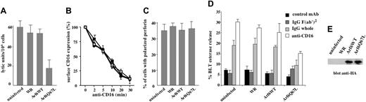 Figure 2. Arf6 is involved in the regulation of CD16-dependent cytotoxicity. (A) Human NK cells were left uninfected or infected with empty virus (WR) or with recombinant vaccinia viruses encoding HA-tagged Arf6 wild-type (Arf6-WT) or Arf6 mutant Q67L and were assessed in a 4-hour 51Cr release assay against P815 target cells in the presence of anti-CD16 mAb. No detectable cytotoxicity against P815 targets was observed in the absence of anti-CD16 mAb at the indicated E/T ratios (not shown). Data are expressed as lytic units/106 cells ± SD referred to 3 independent experiments. (B) Cells were left uninfected (□) or infected with empty virus (WR, ▪), or with recombinant vaccinia viruses encoding HA-tagged Arf6 wild-type (Arf6-WT, •) or Arf6 mutant Q67L (○). Surface receptor levels were evaluated as described in “Materials and methods.” Data derived from 3 independent experiments are expressed as the percentage of the mean fluorescence intensity ± SD with respect to the control cells. Each experimental group has its own control sample. (C) NK cells were infected as indicated and stimulated by means of reverse ADCC as in panel A. The percentage of NK cells conjugated with target cells containing polarized granules is shown (see also Figure S1). Data from 3 independent experiments ± SD is shown. (D) NK cells were infected as indicated and stimulated with anti–MHCI-(control mAb), IgG F(ab′)2-, IgG-, or anti–CD16-coated polystyrene beads. Cell supernatants were collected and assayed for BLT esterase release. Data represent the percentage ± SD of specific release (sample/total release) from 3 independent experiments. (E) Overexpressed Arf6 constructs of a representative experiments are shown.