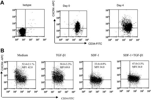 Figure 1. CD34 and CXCR4 expression on freshly isolated versus cytokine-expanded CD34+-enriched cord blood cells. (A) Representative dot blot of CD34 and CXCR4 expression on freshly isolated CD34+ cells and CD34+ cells expanded in a cocktail of cytokines (see “Materials and methods”) for 4 days. Freshly isolated and expanded CD34+ cells were stained using CD34-FITC, CXCR4-APC monoclonal antibodies (mAbs) and analyzed by multivariant flow cytometry. Gates were set on the basis of cell staining with matched-isotype control mAbs. Similar results were obtained in 8 other experiments performed independently. (B) Representative dot blot showing expression of CD34 and CXCR4 on ex vivo–expanded CD34 cells after 24 hours of culture in cytokine cocktail alone (medium) or along with TGF-β1 (0.5 ng/mL), SDF-1 (200 ng/mL), or the combination of SDF-1 (200 ng/mL) + TGF-β1 (0.5 ng/mL). CXCR4 expression on CD34+ cells is presented as mean ± SD of 3 independent experiments. MFI indicates mean fluorescence intensity.