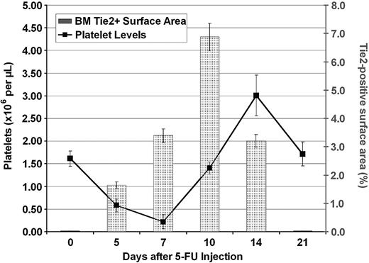Figure 7. Increase in surface area of Tie2-positive vessels after myelosuppression precedes increase in platelet levels. LacZ/NFR-stained BM sections were obtained at different time points after injection of 5-FU as described. The LacZ-positive BM surface area was measured by quantification of the blue chroma pixels compared with the total number of pixels in the digital image. The surface area demarcated by LacZ-positive vessels was normalized to the percentage of total BM hematopoietic surface area. At steady state, there was a minimal number of LacZ-positive cells (0.02% of total pixels were blue). At 10 days after myelosuppression, Tie2 expression was found to be maximal (6.8% of depicted BM surface area pixels were blue), which was followed closely by large increases in peripheral platelet counts (n = 4). All results are shown as mean ± SEM (n = 6, P < .01 at day 10).