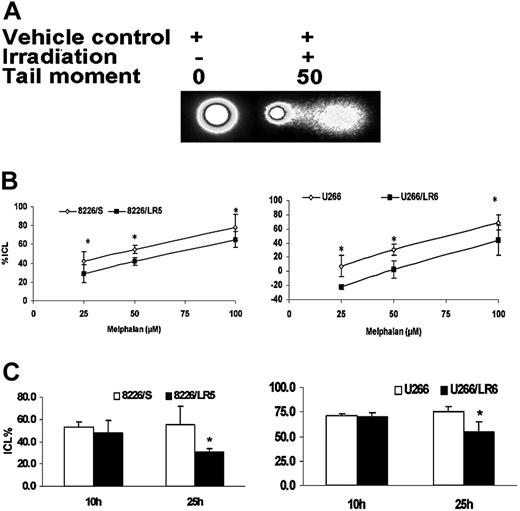 Figure 3. Melphalan-resistant cells have reduced ICL formation and enhanced ICL removal. (A) The alkaline comet assay was used to detect melphalan-induced cross-links. When cells were treated with vehicle control without irradiation, no comet tail moment was observed. When cells were irradiated, the comet tail moment was increased to 50. (B) Within 3 hours following a 2-hour exposure to 25 μM, 50 μM, and 100 μM melphalan, fewer ICL formations were observed in 8226/LR5 and U266/LR6 compared with 8226/S and U266/S, respectively. *P < .05 (ANOVA). (C) Similar amounts of cross-links are formed in drug-sensitive and drug-resistant cells at 10 hours by increasing the dose of melphalan treatment for 8226/LR5 (50 μM) and U266/LR6 (60 μM) compared with 8226/S (25 μM) and U266/S (25 μM), respectively. Within 24 hours after treatment, the remaining ICLs in drug-resistant 8226/LR5 (30.4%) are significantly less than the percentage of drug-sensitive 8226/S cells (55.2% ICLs) within 10 hours. The remaining ICLs in U266/LR6 cells (54.9%) is significantly less compared with U266/S cells (75.6%). Student t test was used for statistical analysis. *P < .05. Error bars denote standard deviation.