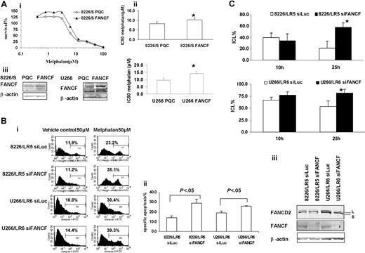 Figure 5. Overexpression of FANCF in 8226/S and U266/S reduced melphalan response, whereas silencing FANCF in 8226/LR5 and U266/LR6 enhanced melphalan response, respectively. (Ai) MTT assay. Overexpression of FANCF in drug-sensitive 8226/S and U266/S cells enhanced cell survival. The data are presented as percent survival above control cells. The experiment was repeated at least 3 times. Representative results are shown. (ii) IC50 is the mean of 3 independent experiments and SD. Student t test was used for statistical analysis. *P < .05. The experiments were repeated 3 times. (iii) Empty vector-transfected 8226-PQC and U266-PQC cells served as controls for FANCF-transfected 8226-FANCF and U266-PQC cells. β-Actin blot served as loading control. (Bi) Apoptosis assay. Transfection of siFANCF partially reversed melphalan resistance in 8226/LR5 and U266/LR6 cells. Annexin-V-FITC staining was used. The percentage of annexin-V-FITC+ cells is labeled, and specific apoptosis has been calculated. The mean values and standard deviations from a representative experiment performed in triplicate are shown. Student t test was used for statistical analysis. *P < .05. (Biii) Western blot analysis of FANCD2 and FANCF showed reduced protein expression in 8226/LR5 and U266/LR6 cells transfected with siFANCF compared with cells transfected with siLuc as a control. β-Actin blot served as loading control. (C) Capacity to repair ICLs was reduced in FANCF knockdown LR5 and LR6 cells compared with control siLuc-transfected cells, LR5 siLuc (top) and LR6 siLuc (bottom), respectively. The mean values and standard deviations from 3 independent experiments are shown. Student t test was used for statistical analysis. *P < .05.