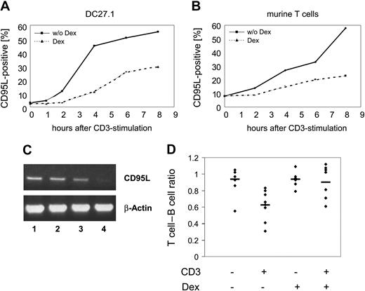 Figure 5. GCs do not interfere with early TCR signaling, but inhibit AICD in vivo. DC27.1 T cells (A) and primary murine day 5 T cells (B) were (re-) stimulated by anti-CD3 antibody in the presence or absence of 10-7 M Dex for the indicated periods of time. CD95L protein expression on the cell surface was assayed by FACS analysis. (C) DC27.1 T cells were stimulated for 5 hours by anti-CD3 antibody, washed, and subsequently cultured for another 3 hours. For the last 1, 2, or 3 hours of this treatment 10-7 M Dex was added (lanes 2, 3, and 4, respectively). The mRNA expression of CD95L and β-actin was detected by RT-PCR. Of 3 experiments, 1 representative is shown. (D) C57BL/6 mice (8 weeks old) were pretreated for 24 hours with or without Dex-phosphate (300 μg/L) in the drinking water and subsequently injected intravenously with 5 μg anti-CD3 (+) or isotype control (-) antibody. Then, 20 hours later splenocytes were stained with anti-TCRβ and anti-B220 antibodies and analyzed by FACS (combined results of 5 independent experiments; each diamond represents one mouse; horizontal bars represent the mean; n = 8; t-value for CD3 vs CD3/Dex, P < .005).