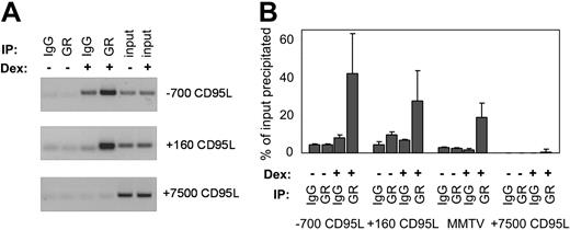 Figure 7. GR binds to 2 nGREs in vivo. (A) DC27.1 T cells were either untreated (-) or treated (+) with 10-7 M Dex. Binding of GR to the -700, -500, and +160 CD95L promoter regions was assessed by chromatin immunoprecipitation (ChIP) assay. A known functional GRE-containing region of the mouse mammary tumor virus (MMTV) long terminal repeat (LTR) was used as a positive control for GR binding. As a negative control, the GR occupancy at the non-GRE-containing fragment of CD95L intron region approximately 7.5 kb downstream of the CD95L promoter was monitored. (B) Quantitative real-time PCR of DNA elements obtained from a ChIP experiment. Shown is percent of input precipitated of 1 of 3 experiments with similar results. Error bars represent mean ± SEM.