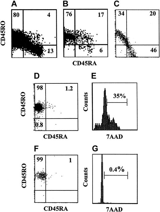 Figure 5. Naturally occurring IFN-I cannot induce CD45RO to CD45RA reversion in antigen-specific T cells. CD45RA and CD45RO expression was determined in total CD8+ T cells (A) and EBV tetramer+ T cells gated on total CD8+ T cells (B) isolated from the same patient with AIM. CD45RA and CD45RO expression was also examined in freshly isolated antigen-specific T cells (C) and CD8+ tetramer+ T cells specifically activated and expanded in culture for 1 month (D). Cell-cycle progression was determined in activated CD8+ tetramer+ T cells by 7AAD staining (E). Activated virus-specific T cells were cultured with fibroblasts for 14 days at which point CD45RO expression (F) and 7AAD staining (G) were assessed by flow cytometric analysis. These results are representative of 4 separate experiments. (A-D, F) Numbers refer to the percentage of cells found in each quadrant.