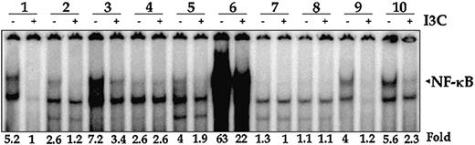Figure 6. I3C inhibits constitutively active NF-κB activity and proliferation of AML cells. A total of 1 × 107 cells were resuspended in RPMI 1640 medium and treated with 50 μM I3C for 24 hours, and nuclear extracts were prepared and then analyzed for NF-κB activity by EMSA.